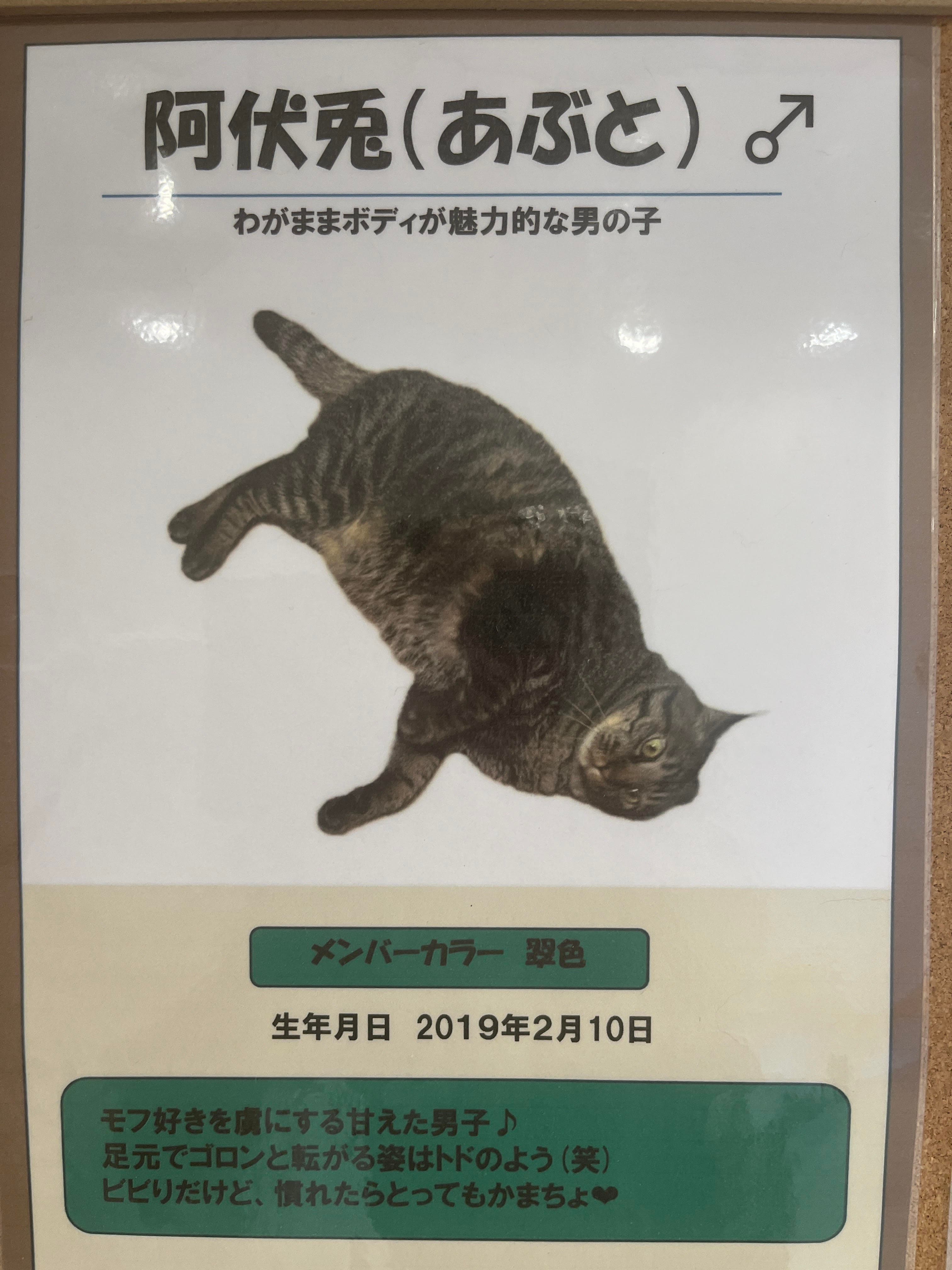 阿伏兎