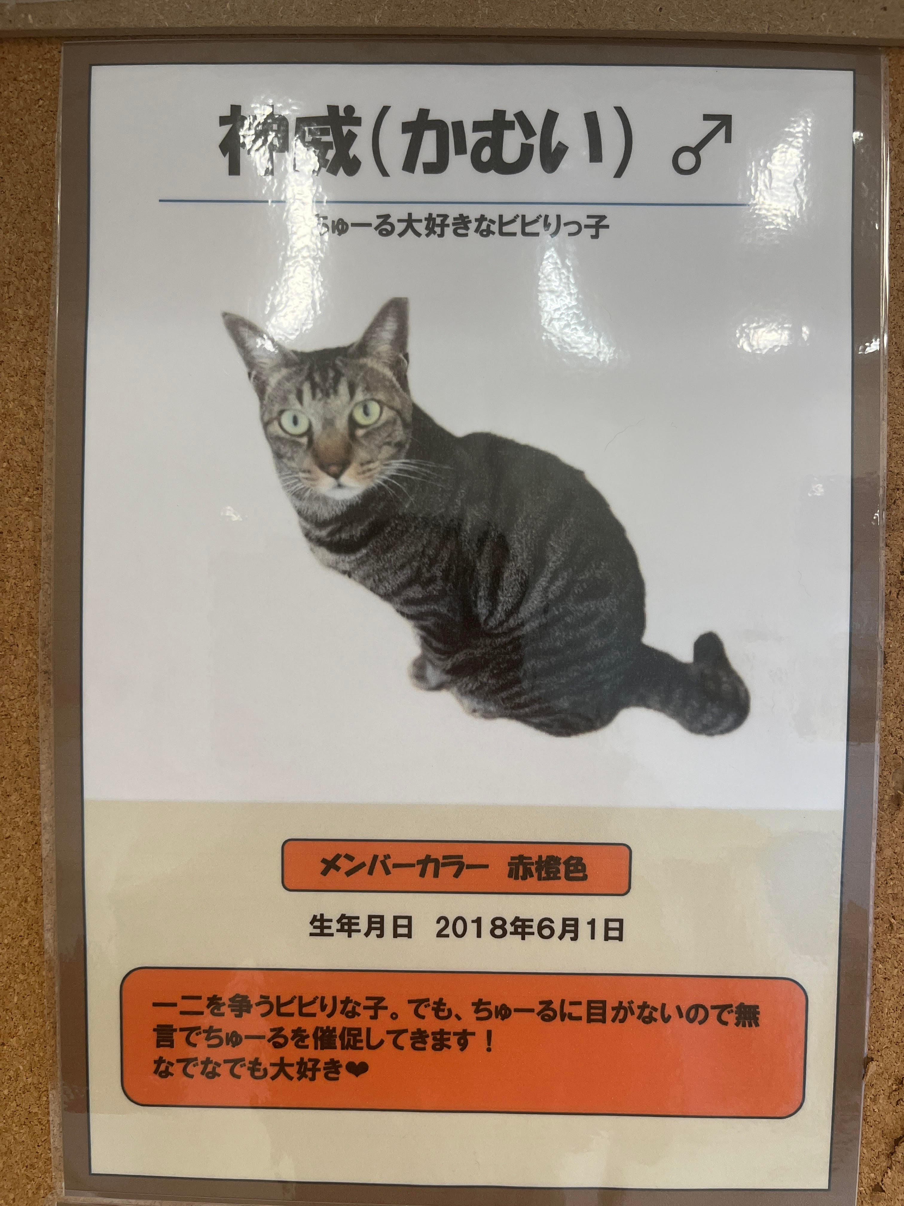 神威