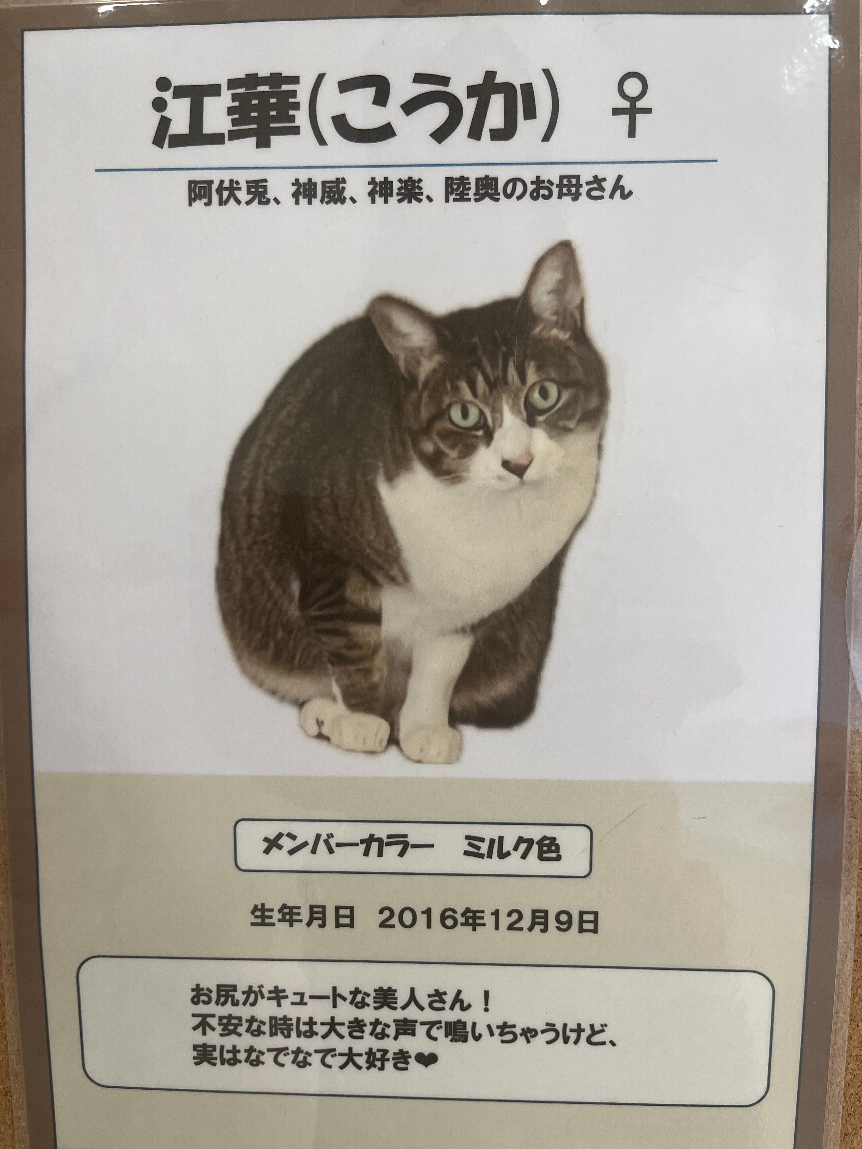 江華