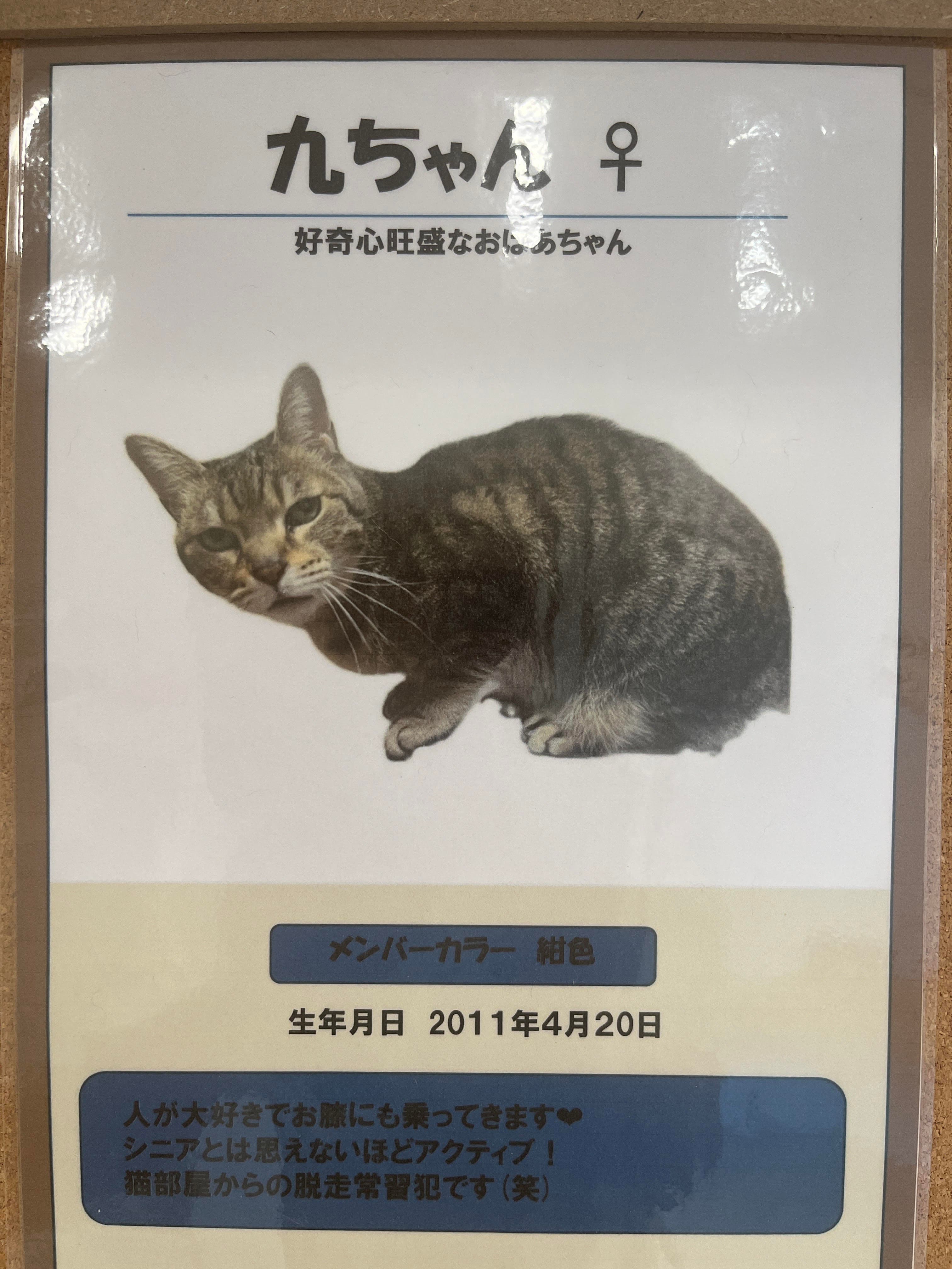 九ちゃん