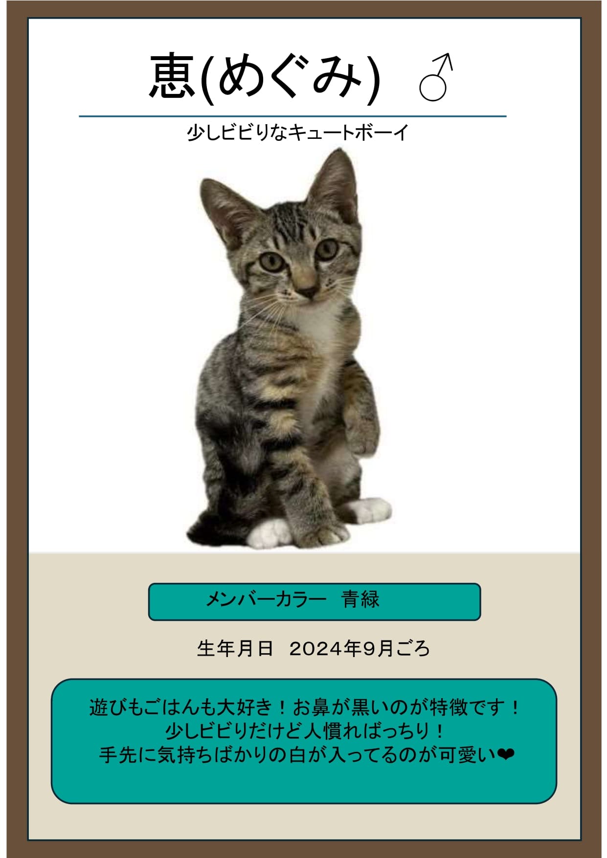 恵