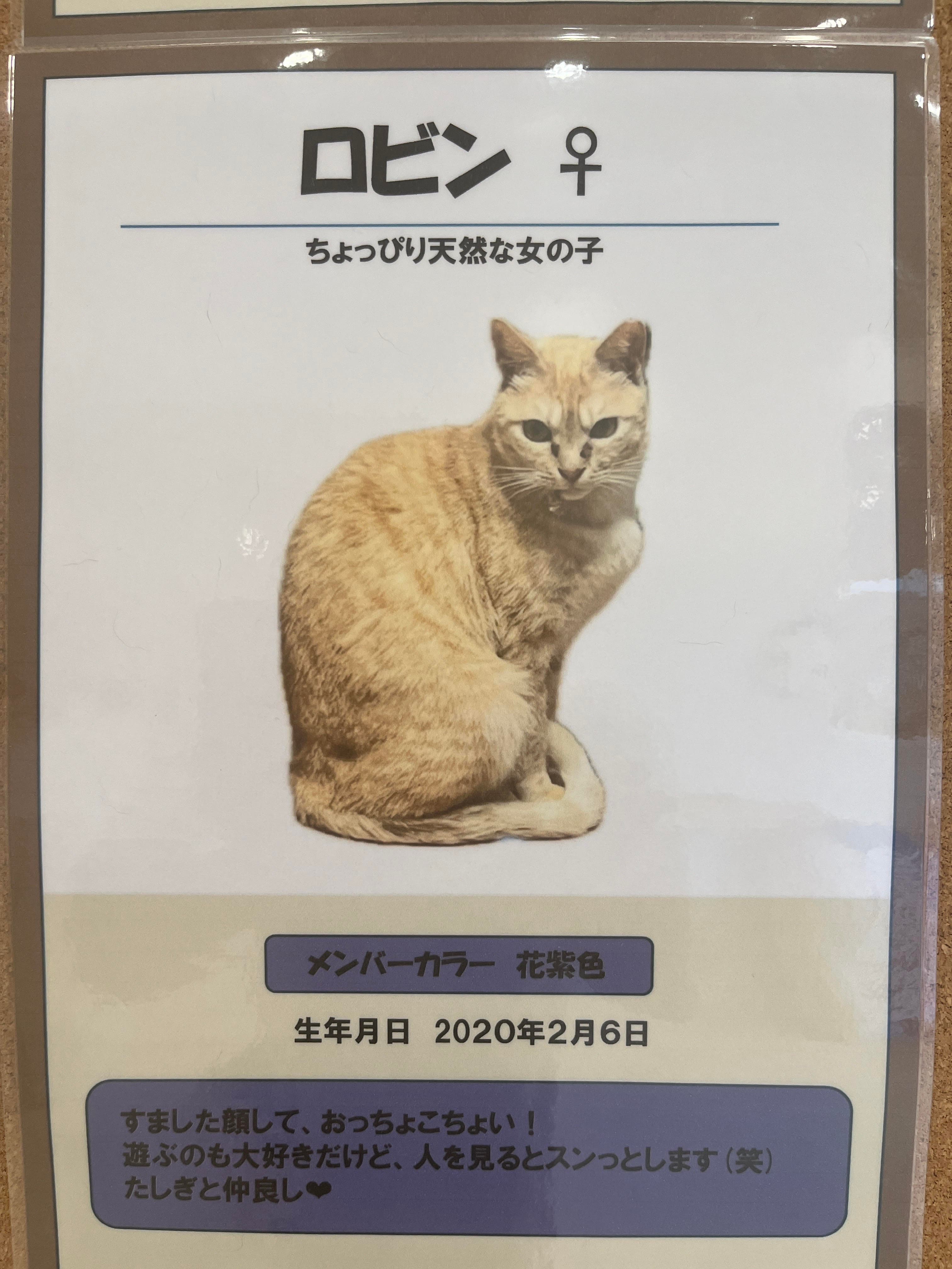 ロビン