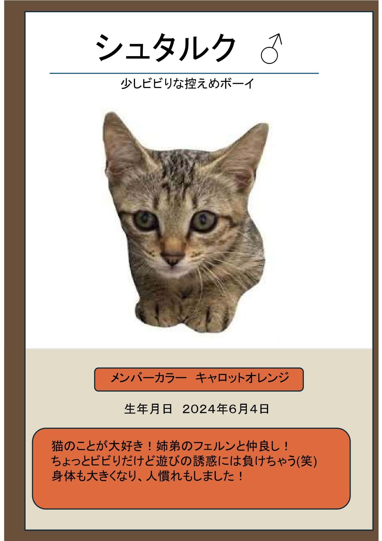 シュタルク