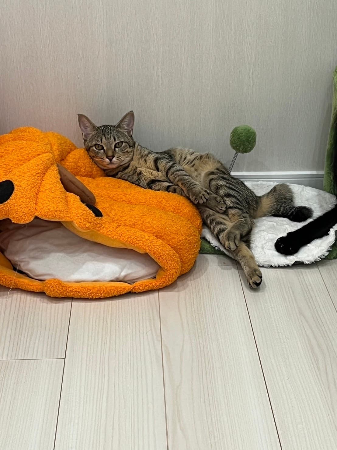 シュタルク 2