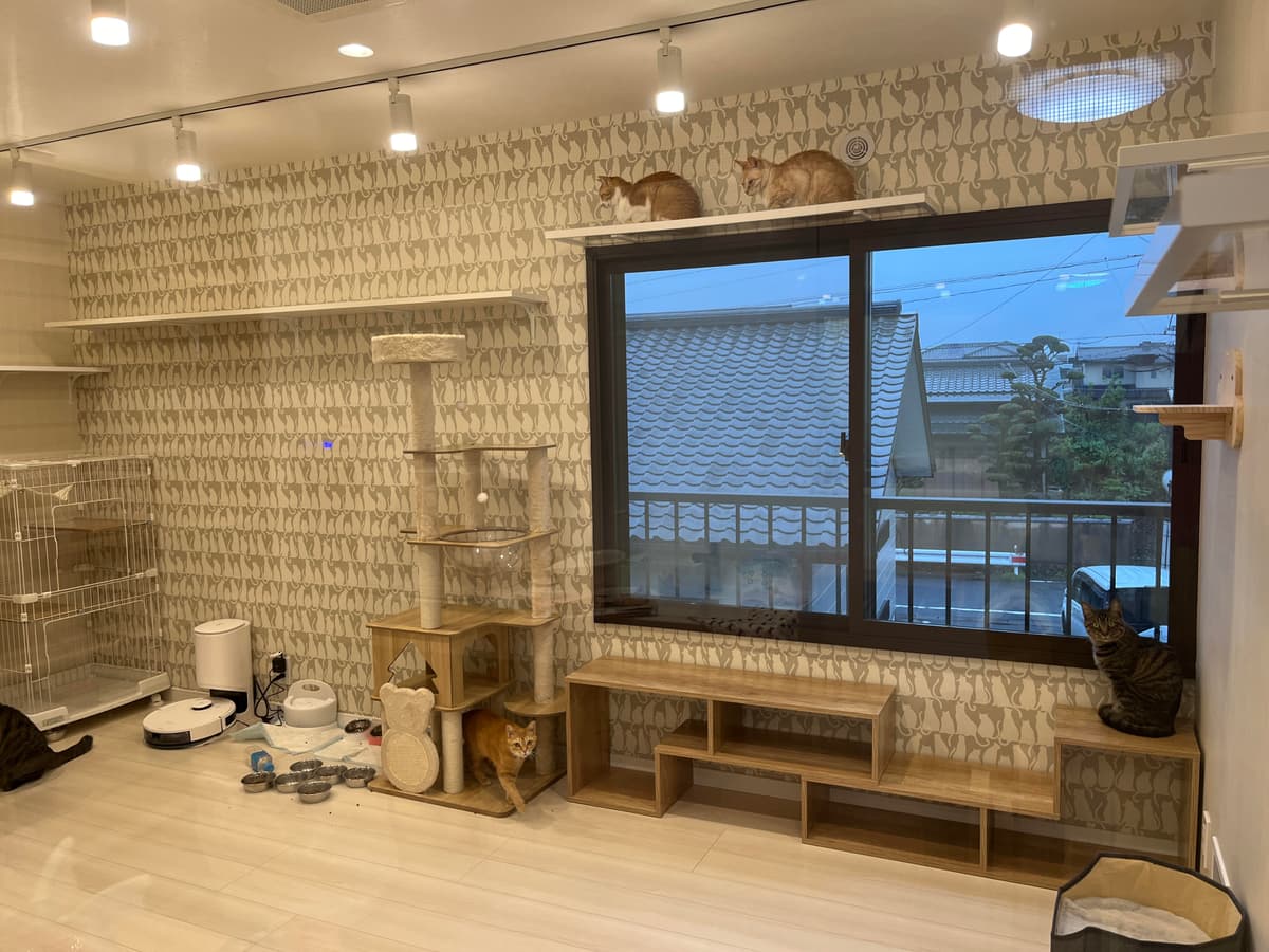 Kaipooh看板