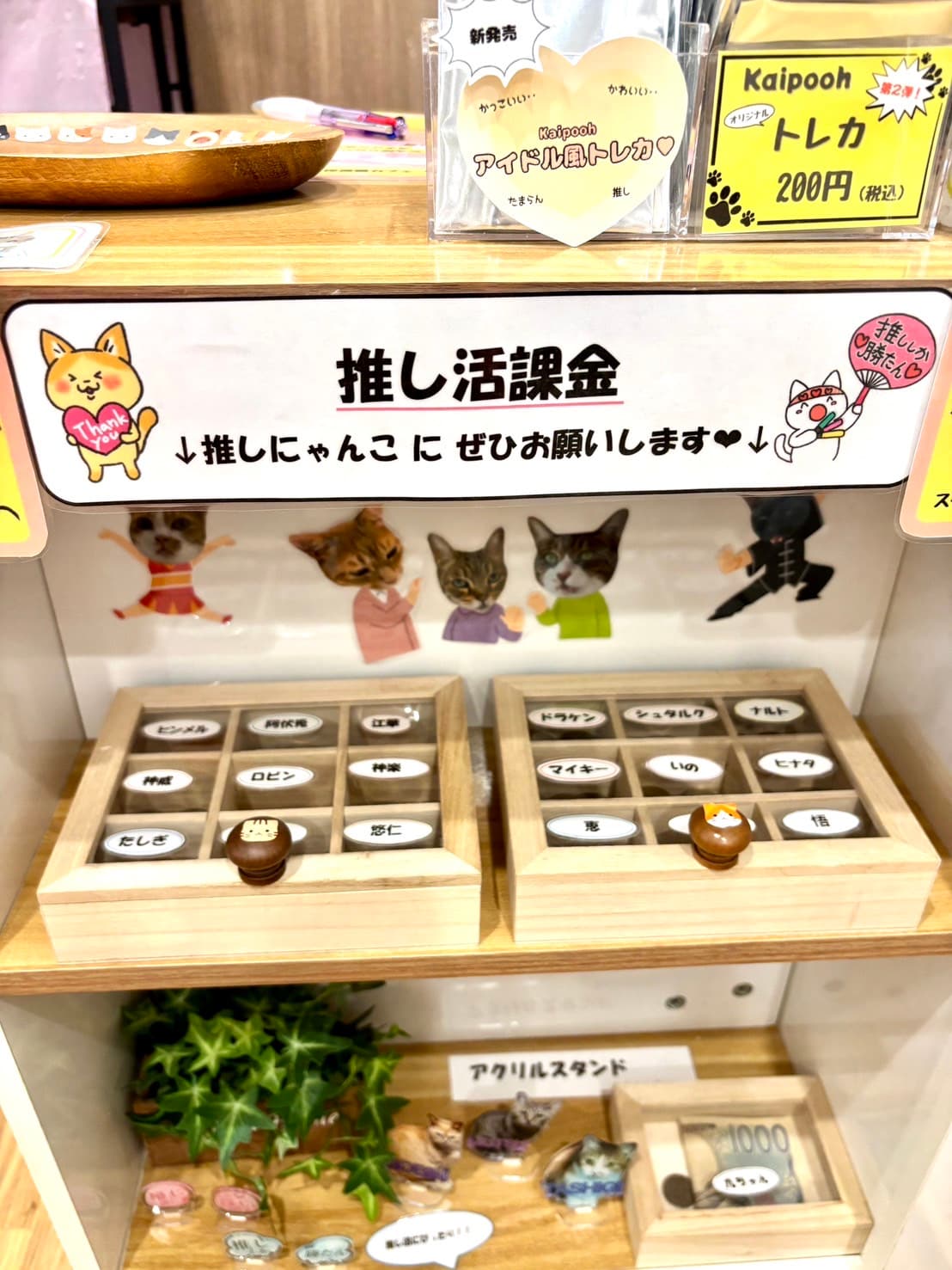 Kaipooh看板