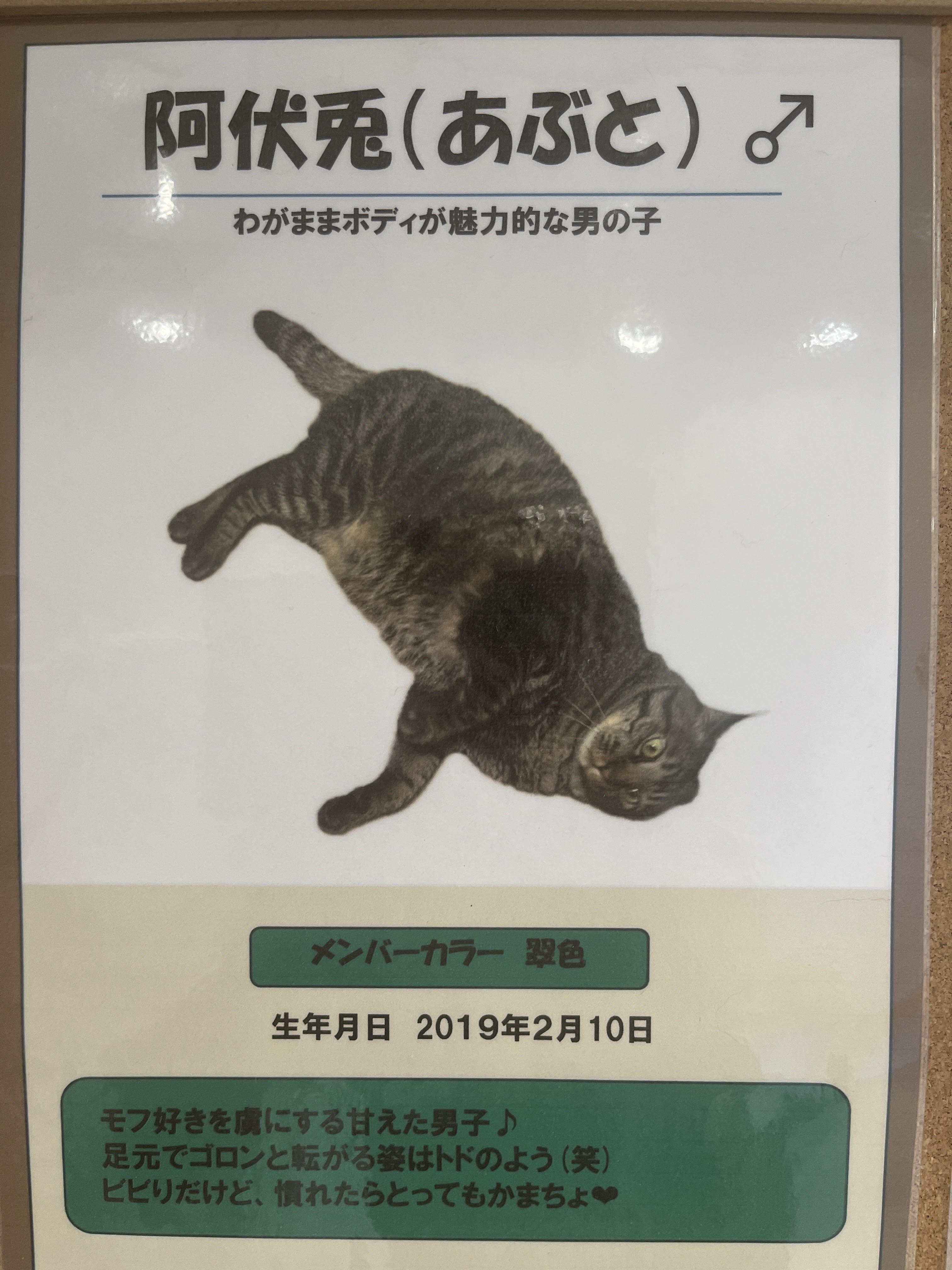 阿伏兎