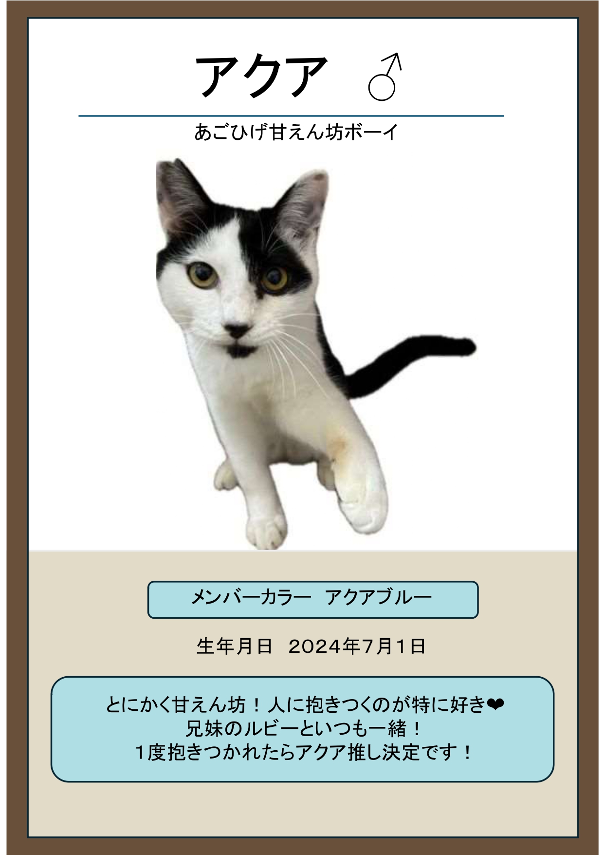 アクア