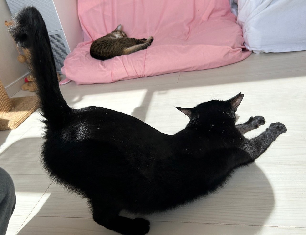 ヒンメル