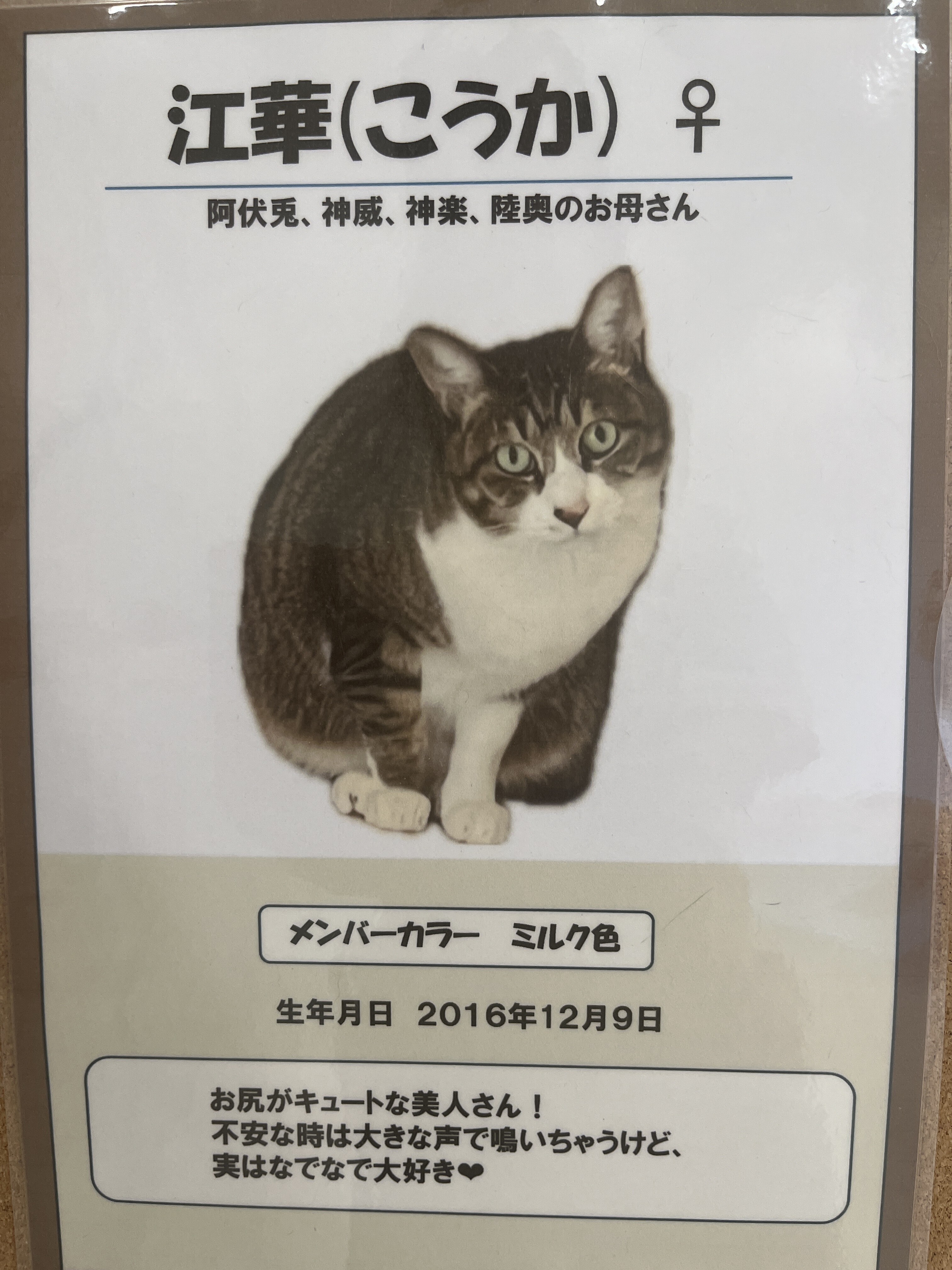 江華