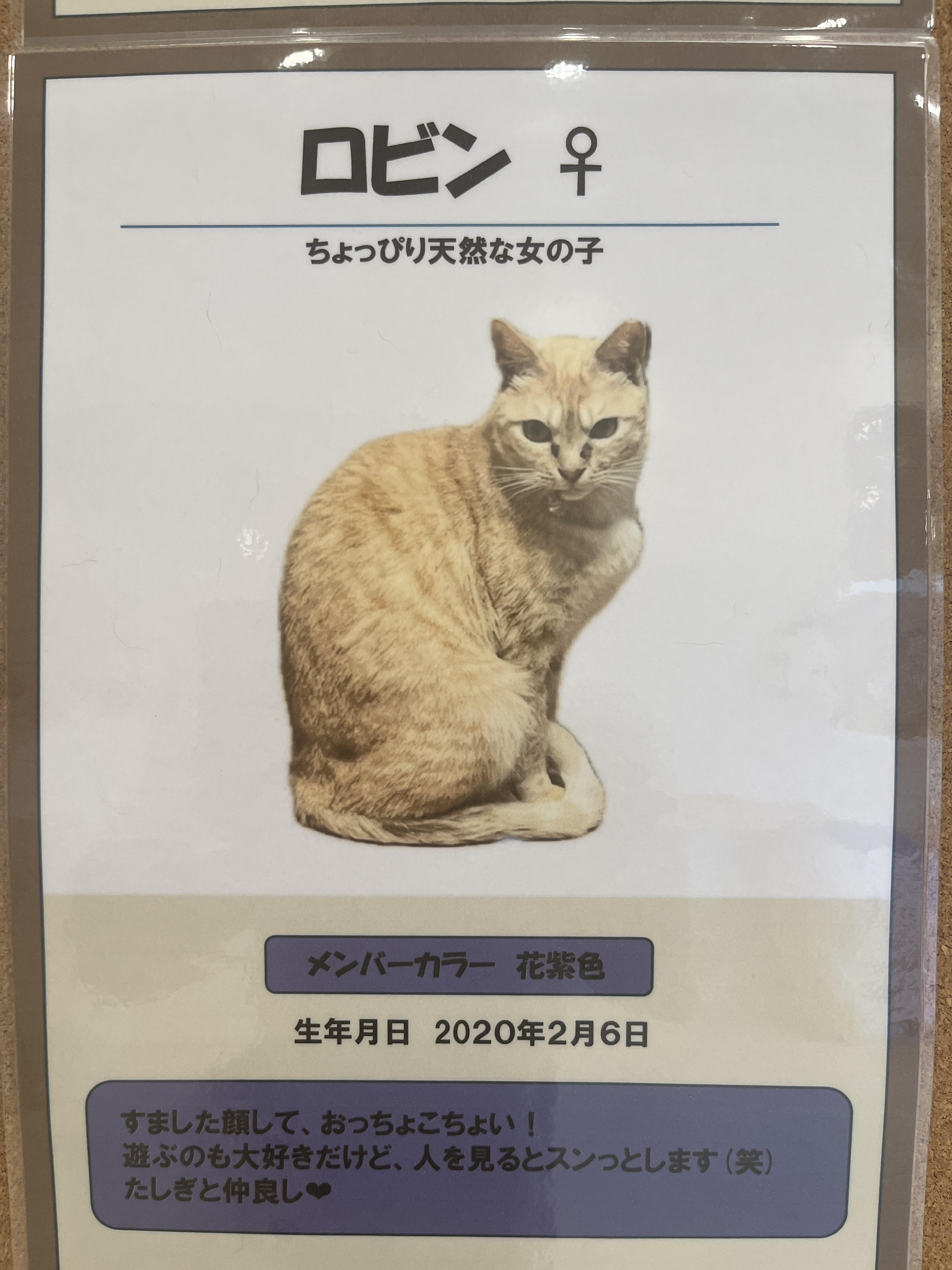 ロビン