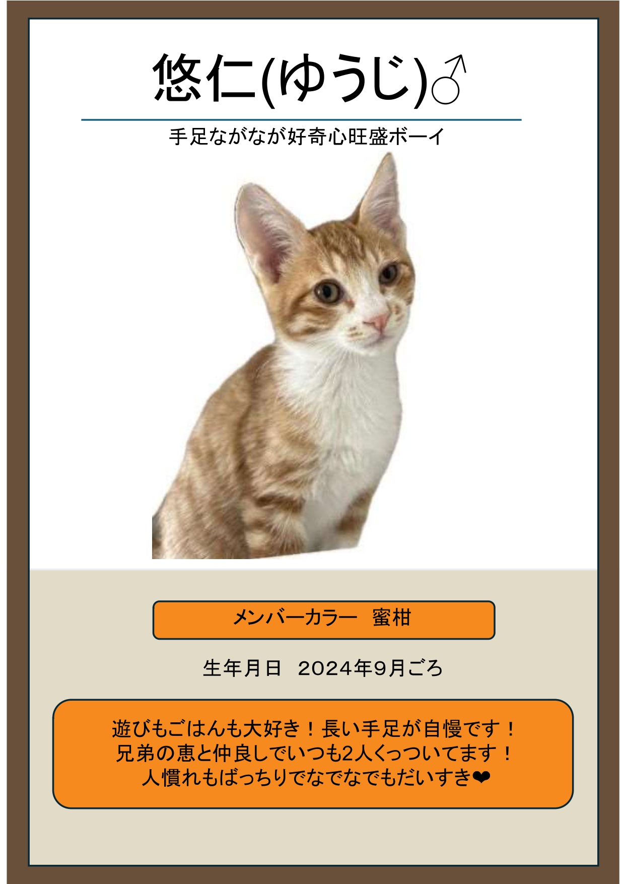 悠仁